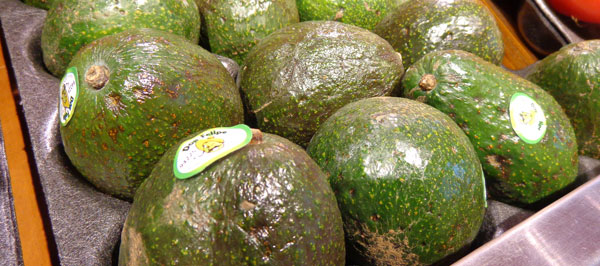 Eating Fat - avocado -the10principles