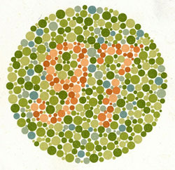 Lena Dunhams food diary patterns - the10principles