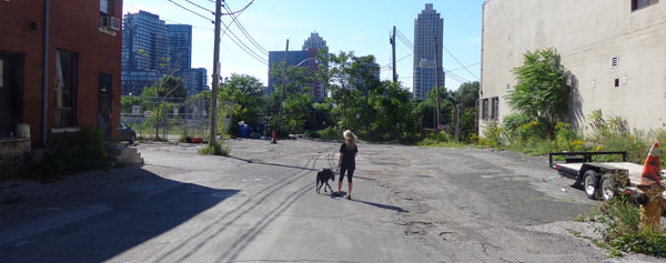 tomorrow will be different - walking the dog - the 10 pri