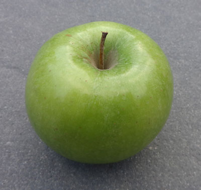 can you snack - apple test - the10principles