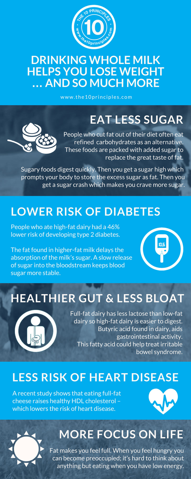 Whole milk helps you lose weight - It took me 10 years to lose 10 pounds